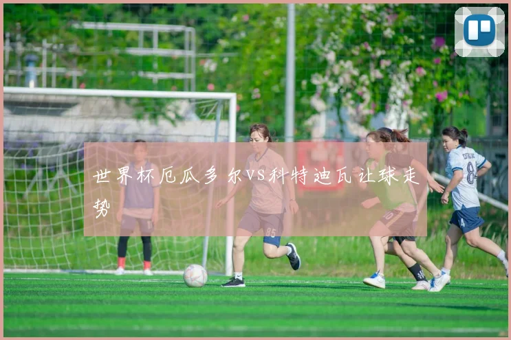 世界杯厄瓜多尔vs科特迪瓦让球走势
