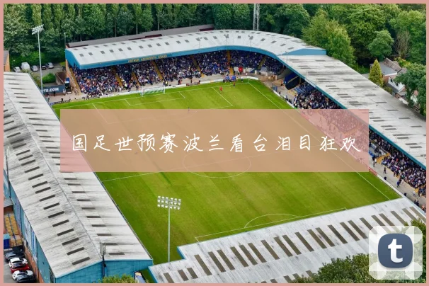 国足世预赛波兰看台泪目狂欢