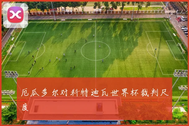 厄瓜多尔对科特迪瓦世界杯裁判尺度