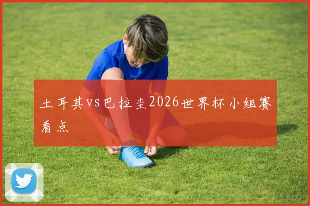 土耳其vs巴拉圭2026世界杯小组赛看点