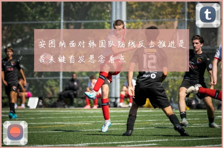 安图纳面对韩国队防线反击推进是否关键首发悬念看点
