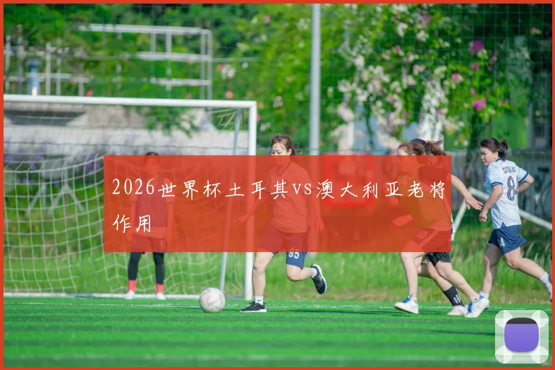 2026世界杯土耳其vs澳大利亚老将作用