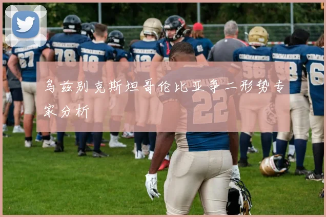 乌兹别克斯坦哥伦比亚争二形势专家分析