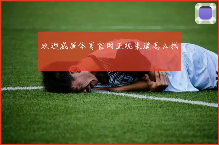 欢迎威廉体育官网正规渠道怎么找