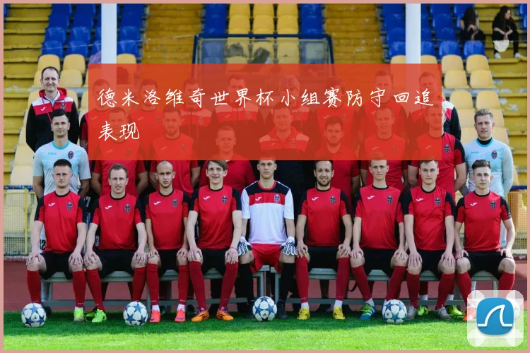 德米洛维奇世界杯小组赛防守回追表现