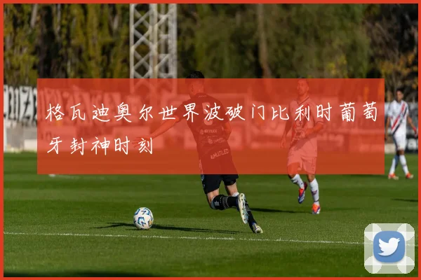 格瓦迪奥尔世界波破门比利时葡萄牙封神时刻