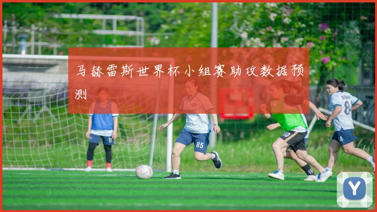马赫雷斯世界杯小组赛助攻数据预测