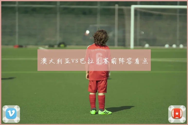 澳大利亚vs巴拉圭赛前阵容看点